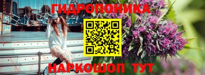 ECSTASY Краснодар