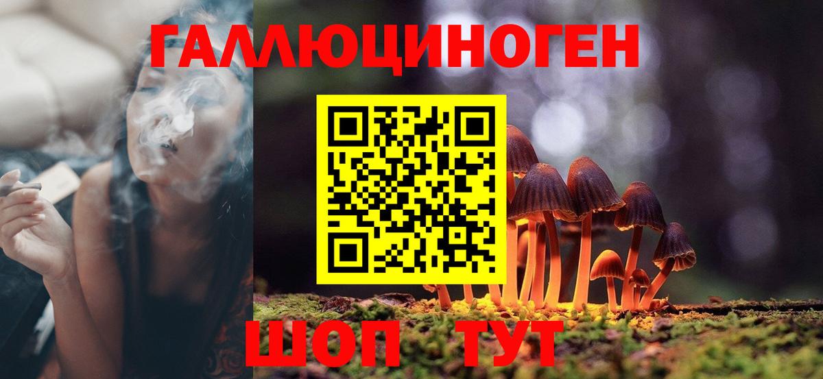 Псилоцибиновые грибы мухоморы Керчь
